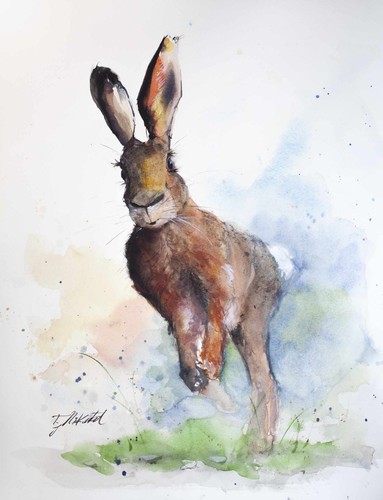 Hare original watercolour - -,