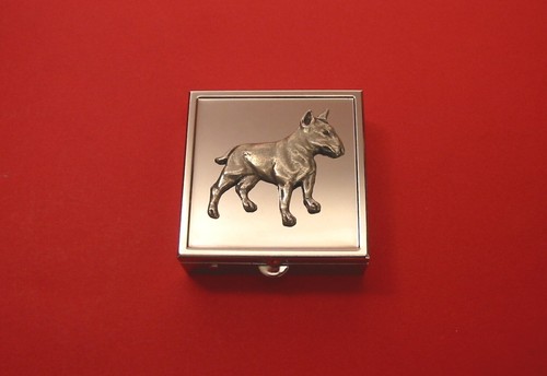 English bull terrier square - bull,