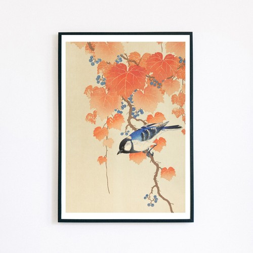 Bird vintage flowers botanical - vintage,