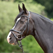 Kieffer Bridle Ultrasoft®