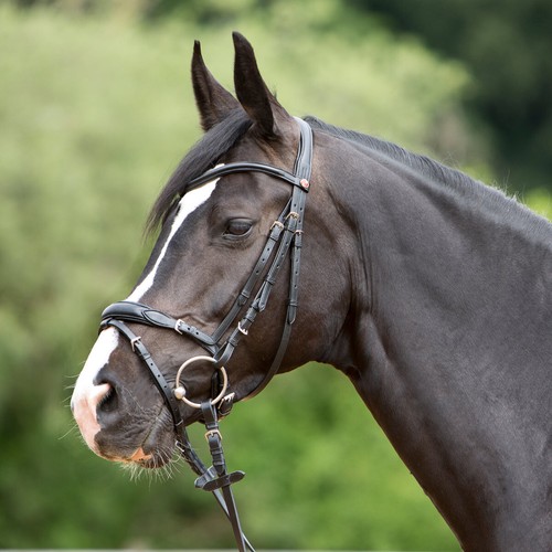 Kieffer bridle ultrasoft - kieffer,