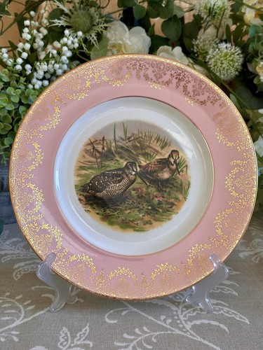 Woodcock birds decorative - birds,
