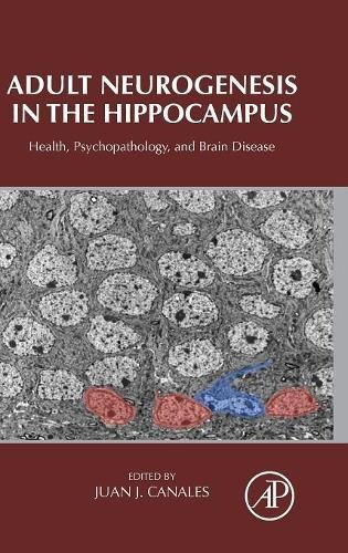 Adult neurogenesis the - in,