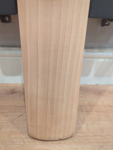 Salix pod junior cricket - salix,