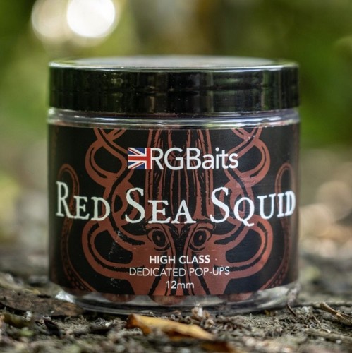 Baits red sea squid - squid, 'high