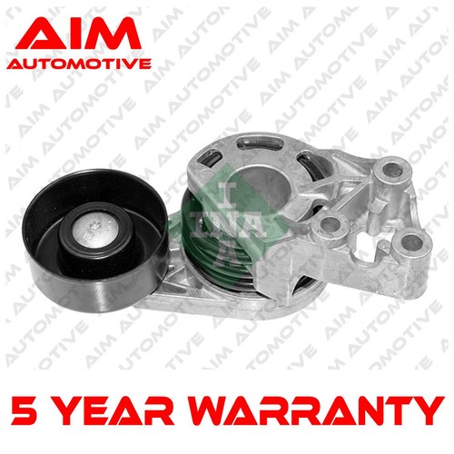 Tensioner pulley aim - aim, fits