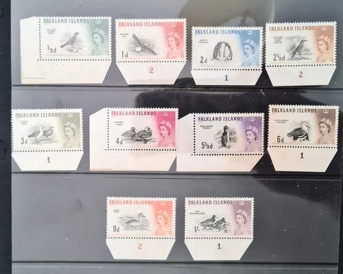 Falkland islands 1960 - , birds