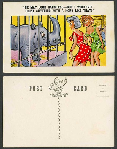 Pedro old postcard rhinoceros - pedro,