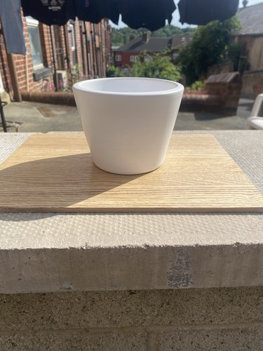 White ceramic plant - white,