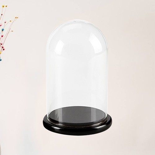 Glass display dome - , cloche