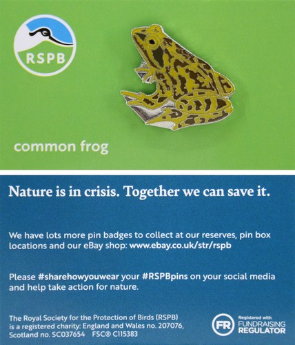 Rspb pin badge niic common - pin,