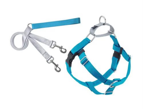 Hounds design turquoise - 2,