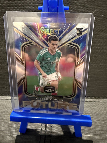 Panini select road fifa - panini,