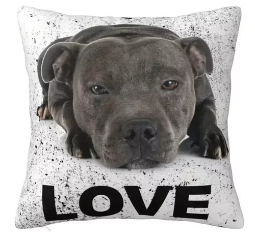 Brown staffy love dog soft - dog,