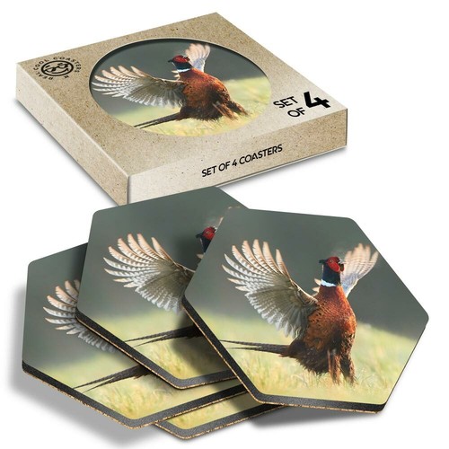 Hexagon coasters male - x,