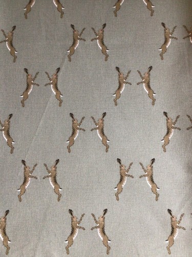 Sophie allport boxing - boxing, hares