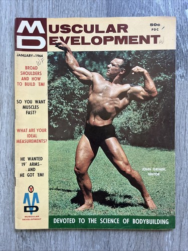 Muscular development - muscular,