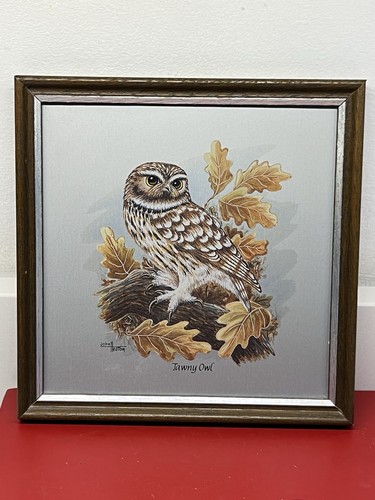 Vintage rowson tawny owl - tawny,