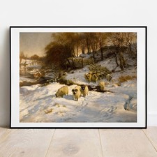 Art print Farquharson Sheep in