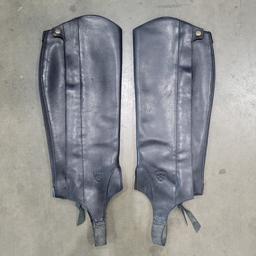 Ariat chaps women - ariat,