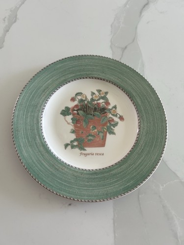 Vintage wedgewood plate - vintage,