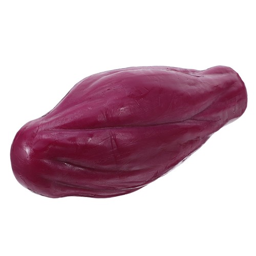 Human muscle anatomy model - anatomy,
