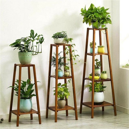 117cm tall bamboo plant - bamboo,