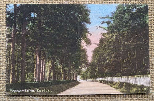 Earley pepper lane - earley,,