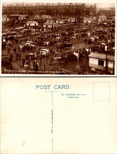 Rppc cattle market livestock - rppc,