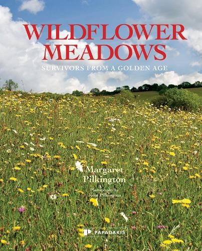 Wildflower meadows margaret - meadows,,