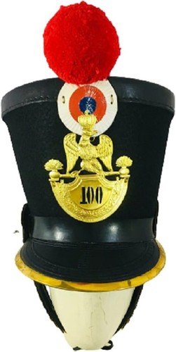 Napoleonic french infantry - napoleonic,