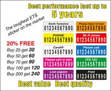 Racing pigeon ets - racing,