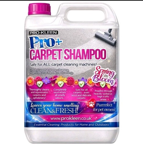 Carpet shampoo cleaning - shampoo,