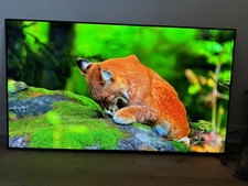 55 inch LG OLED evo AI B5 4K