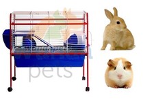 88CM INDOOR DWARF RABBIT
