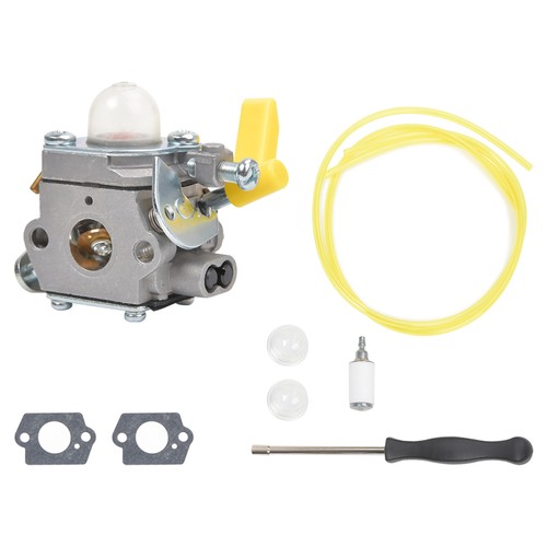 Carburetor kit fuel filters - carburetor,