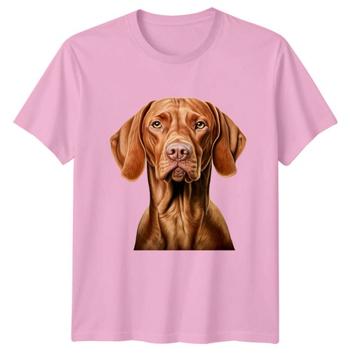 Vizsla hungarian pointer - hungarian,