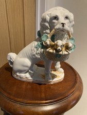 Rare Conta Boehme Poodle Puppy with pigs in basket