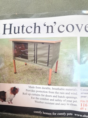 Outdoor rabbit guinea pig - rabbit/guinea,