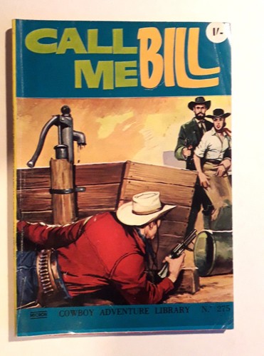 Cowboy adventure library - library, no
