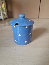 Devonshire Pottery Blue Polka