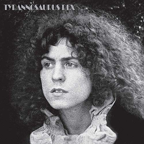 Tyrannosaurus rex beard of - tyrannosaurus,