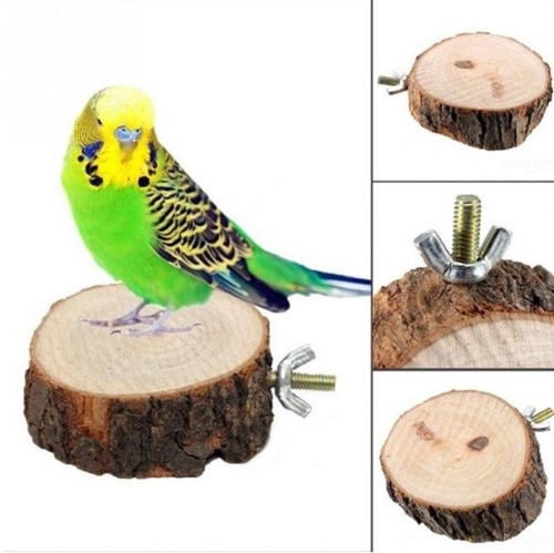Wooden round parrot - wooden,