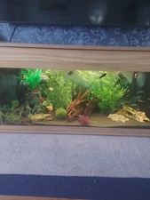 5ft Fish Tank With Everything