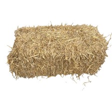 Straw Bale (Free Next Day