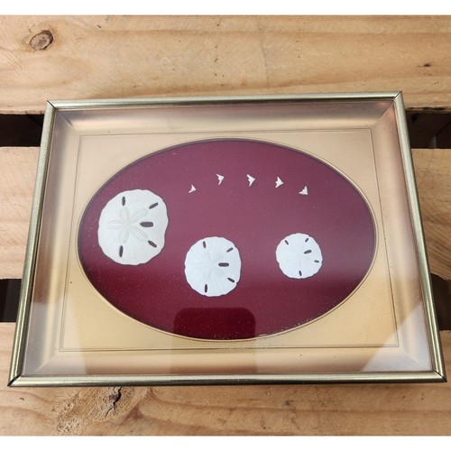 Sand dollar seagull in gold - &,