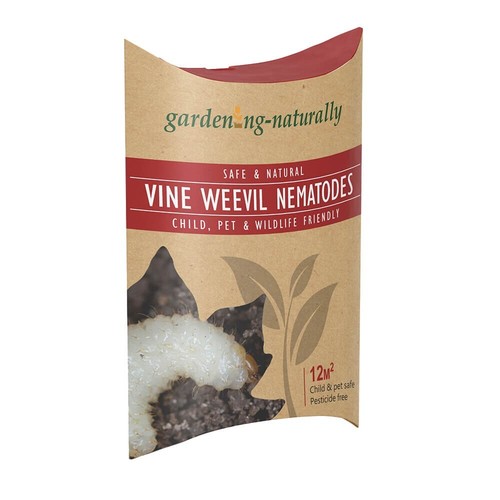Vine weevil nematodes - vine,