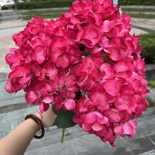 Hydrangea bouquet large - bouquet,