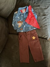 Disney Baby Toy Story Woody