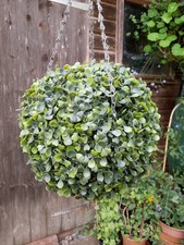 Hanging topiary ball
